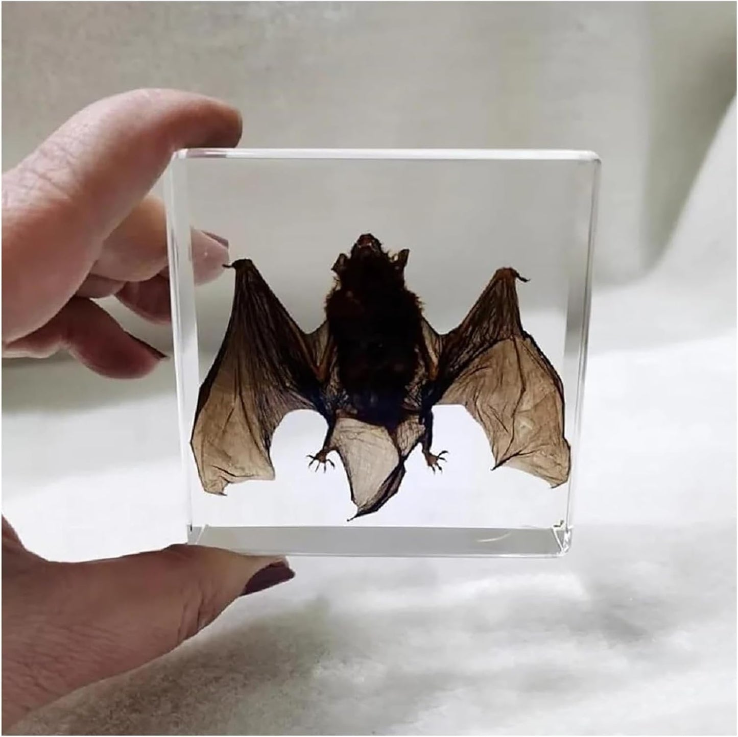 Murciélago en Resina Transparente – Exclusivo Animal Art