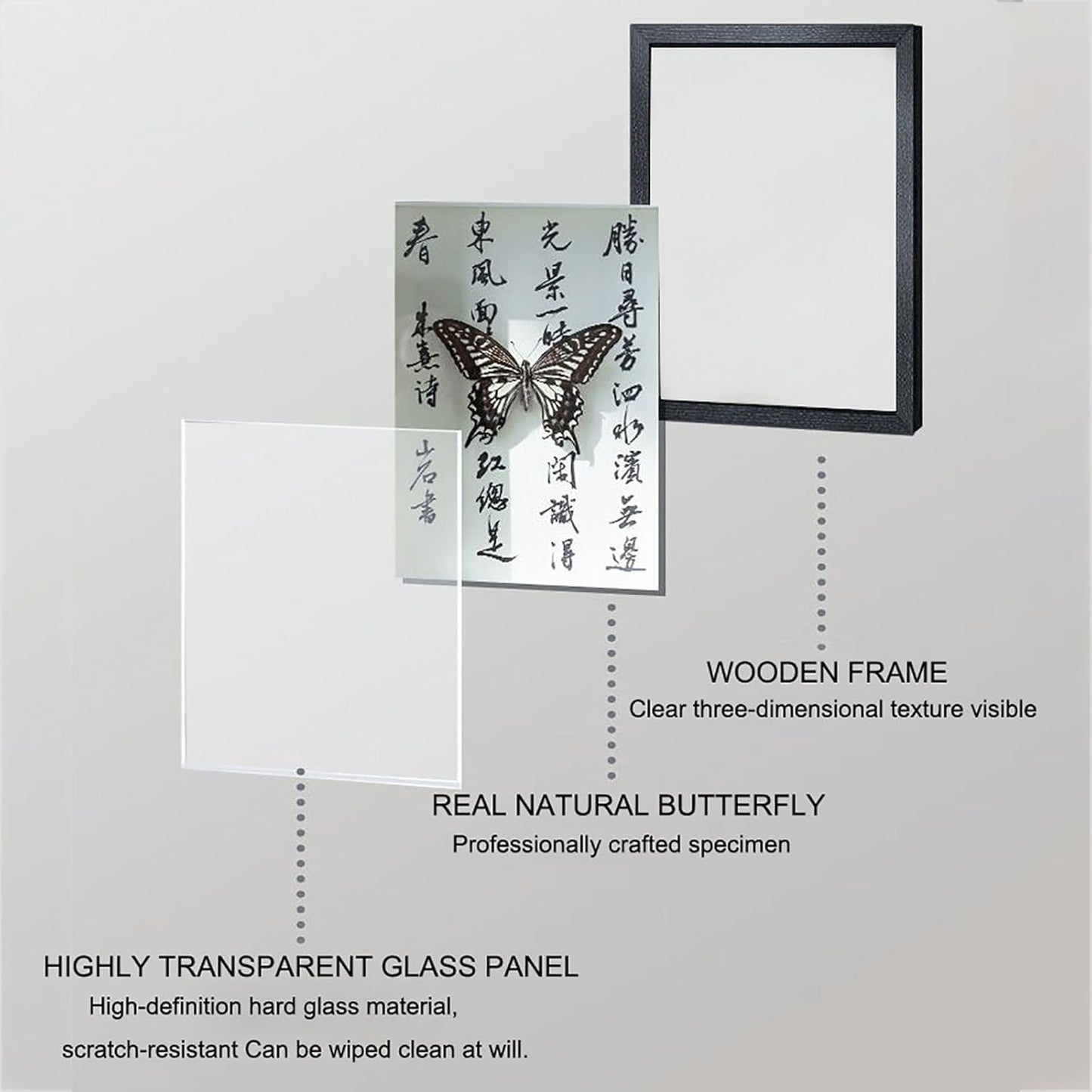 Mariposa de Colección en Marco de Madera – Natural Art con Elegancia Oriental