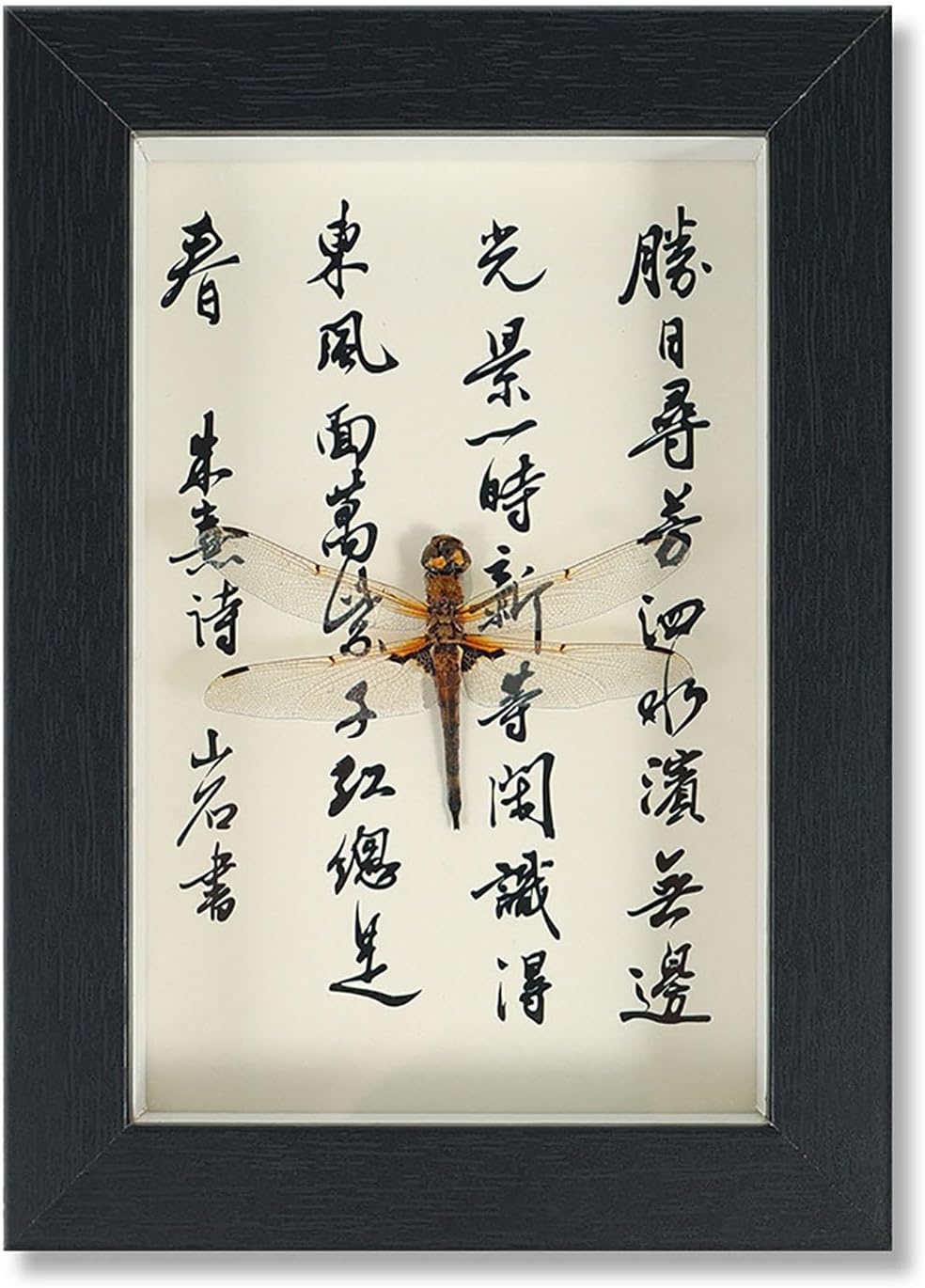 Mariposa de Colección en Marco de Madera – Natural Art con Elegancia Oriental