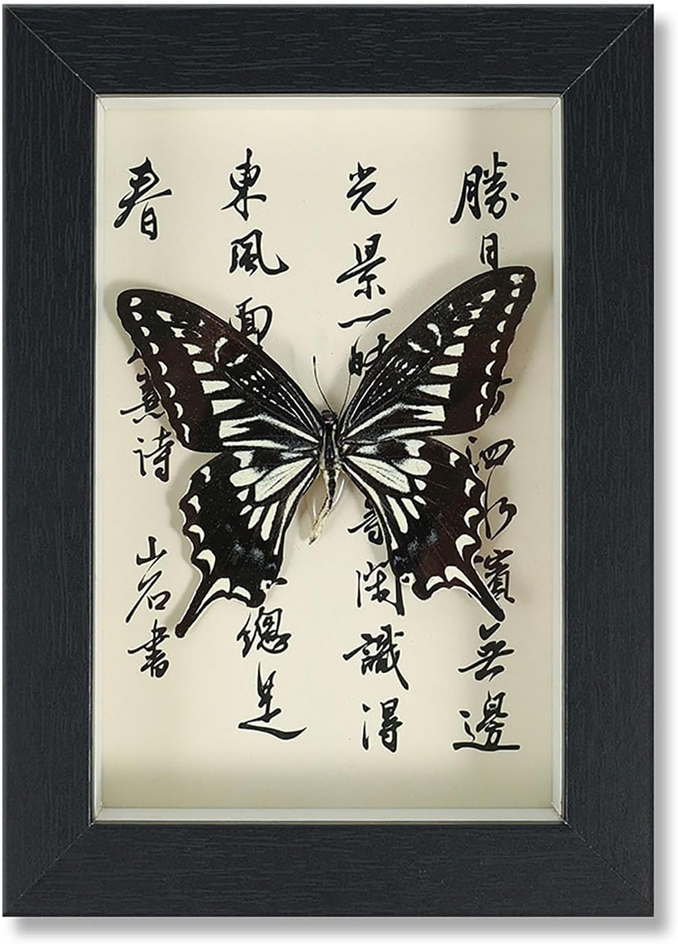 Mariposa de Colección en Marco de Madera – Natural Art con Elegancia Oriental