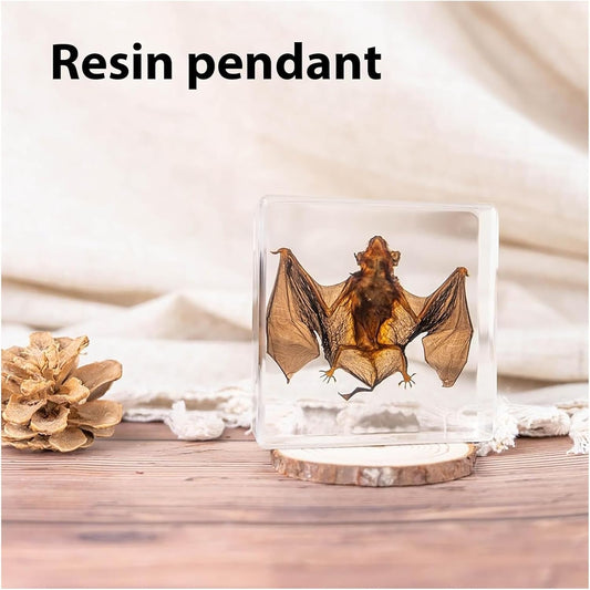 Murciélago en Resina Transparente – Exclusivo Animal Art