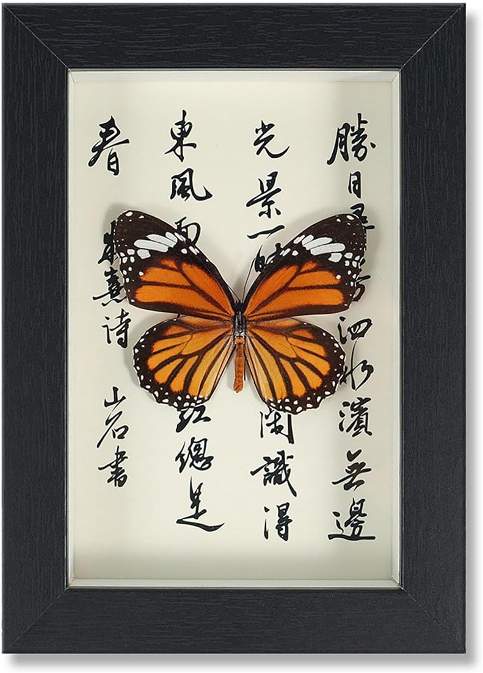 Mariposa de Colección en Marco de Madera – Natural Art con Elegancia Oriental