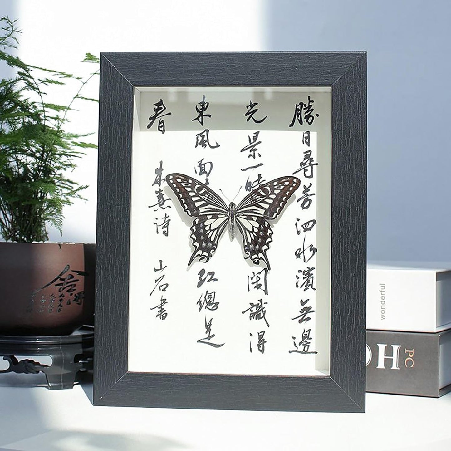 Mariposa de Colección en Marco de Madera – Natural Art con Elegancia Oriental
