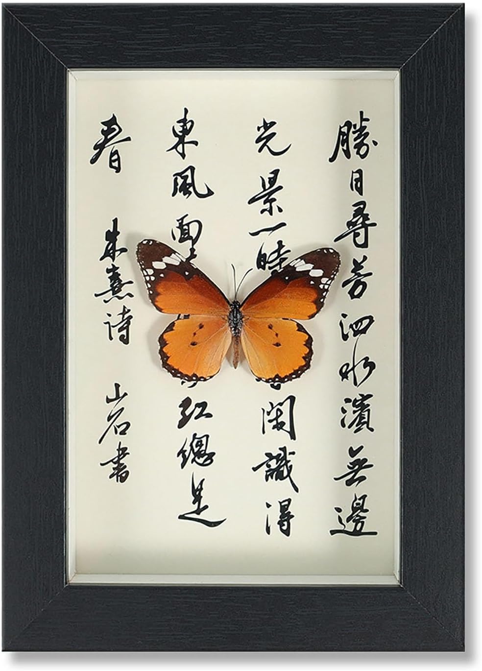 Mariposa de Colección en Marco de Madera – Natural Art con Elegancia Oriental