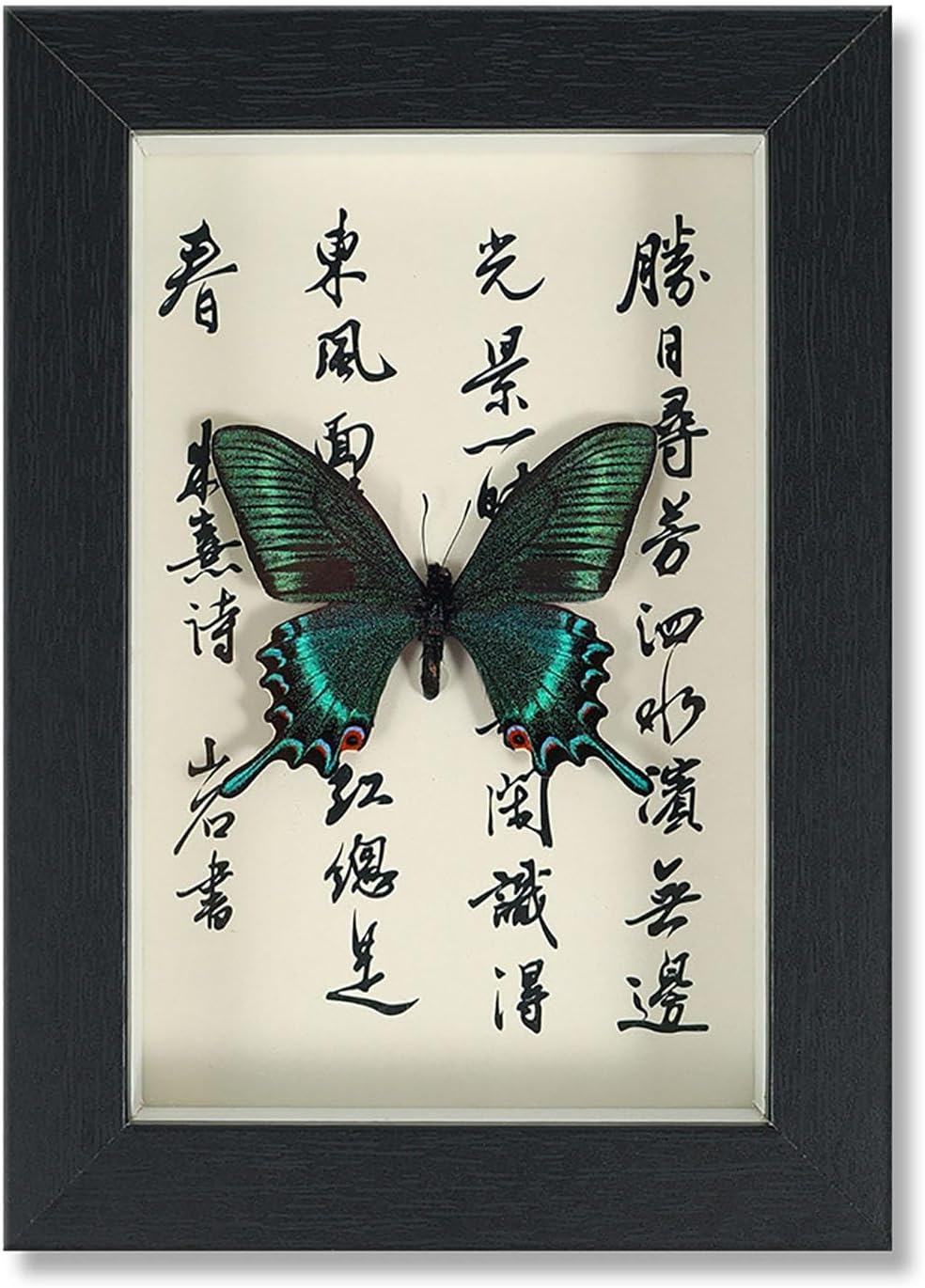 Mariposa de Colección en Marco de Madera – Natural Art con Elegancia Oriental