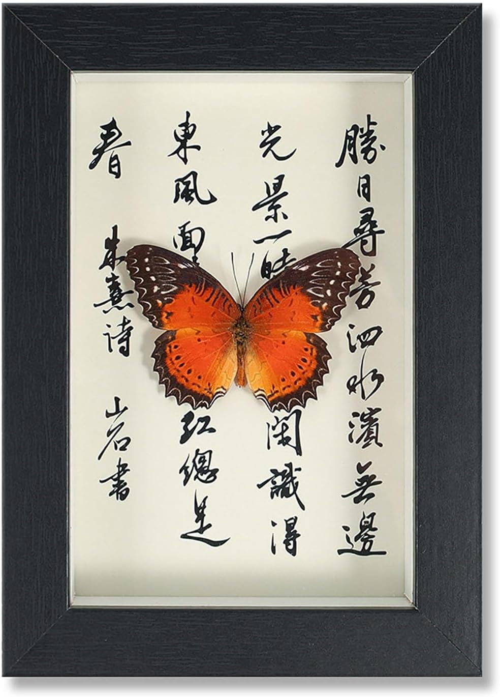 Mariposa de Colección en Marco de Madera – Natural Art con Elegancia Oriental