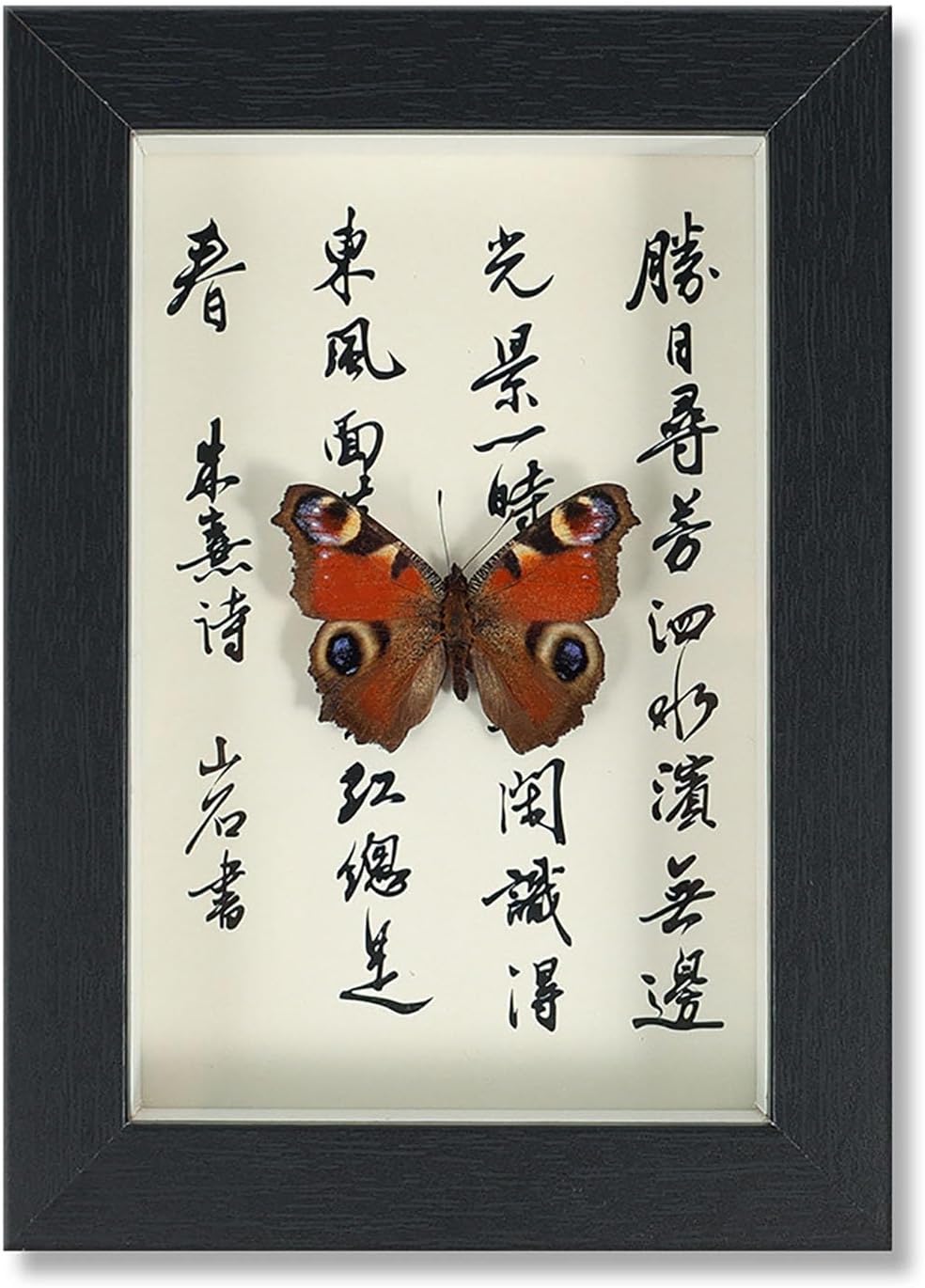 Mariposa de Colección en Marco de Madera – Natural Art con Elegancia Oriental