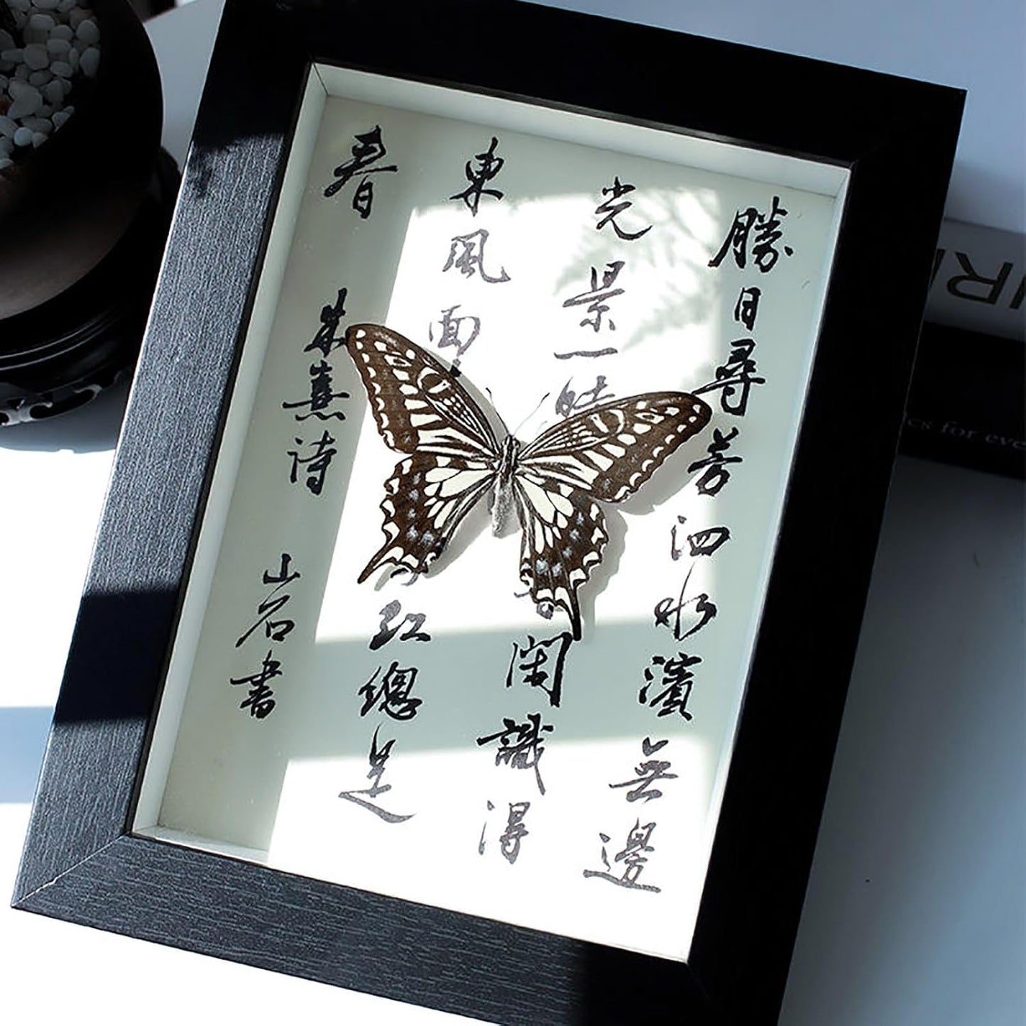 Mariposa de Colección en Marco de Madera – Natural Art con Elegancia Oriental