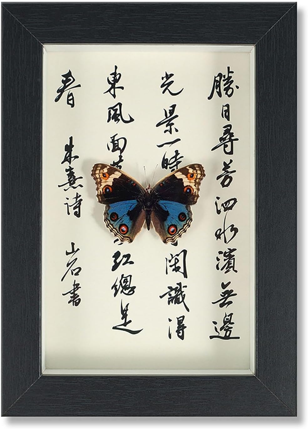 Mariposa de Colección en Marco de Madera – Natural Art con Elegancia Oriental