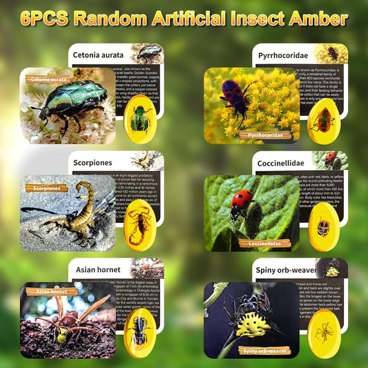 Fósiles en ámbar tipo Jurassic World