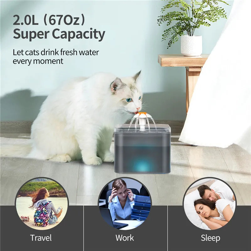 SmartBowl Flow™ | By AnimalArtBuy