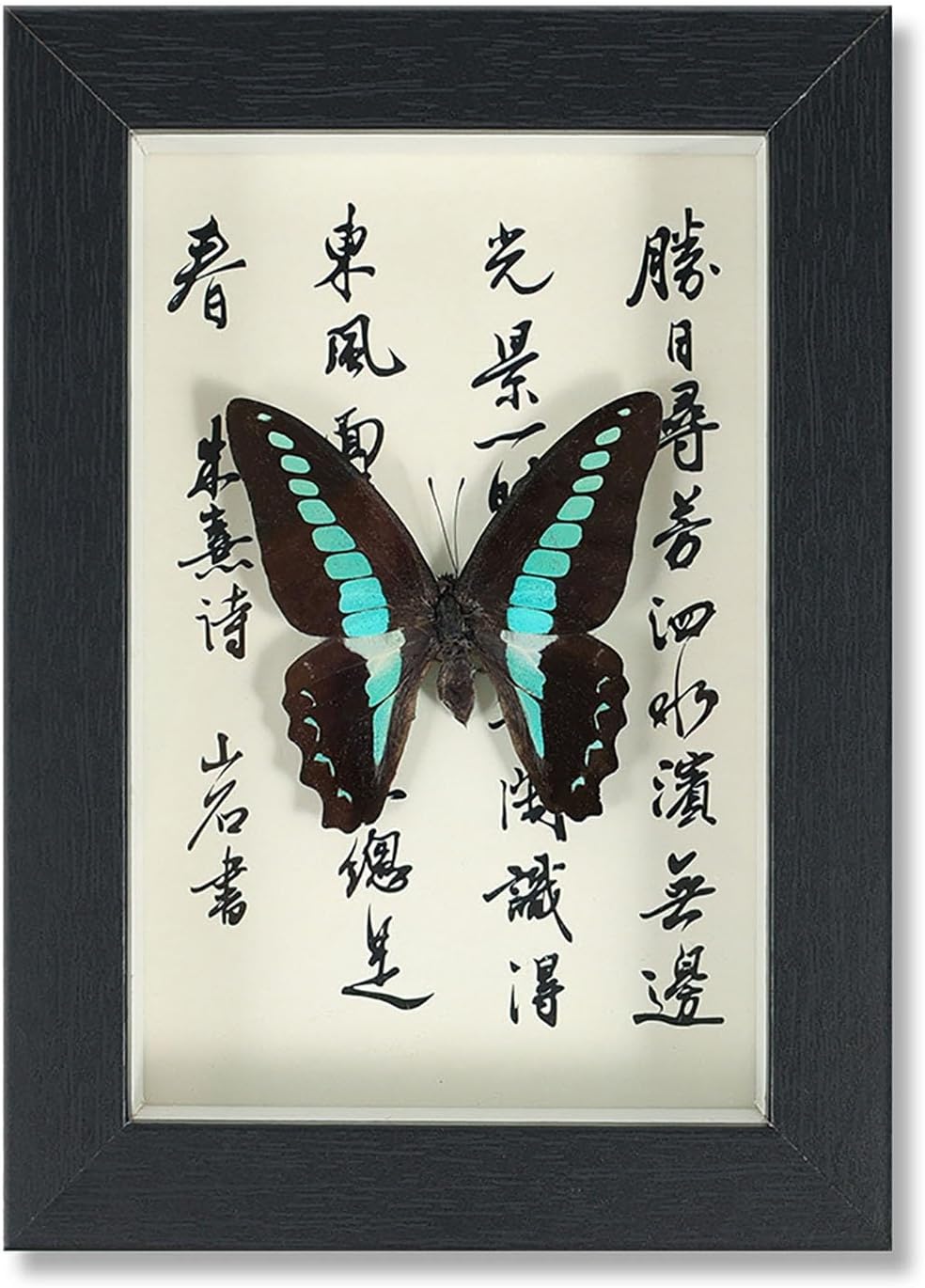 Mariposa de colección en marco de madera Natural Art con elegancia oriental