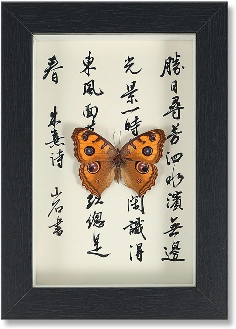 Mariposa de colección en marco de madera Natural Art con elegancia oriental
