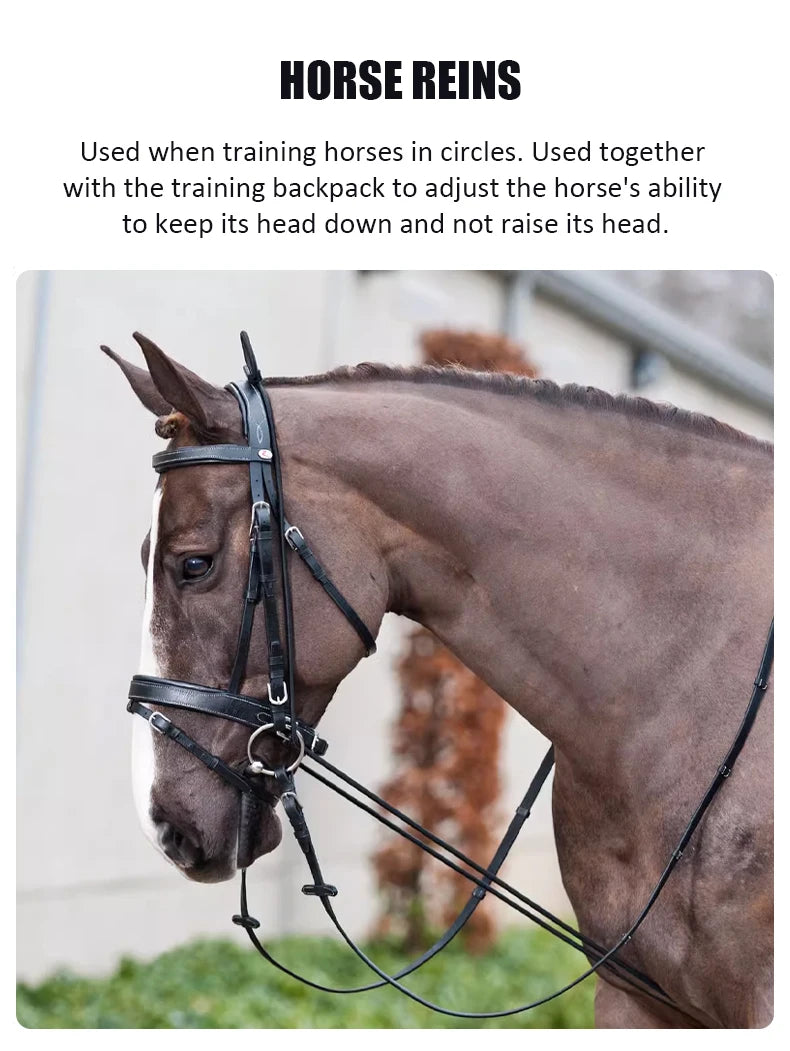 EquiControl – Correa de Entrenamiento Ajustable para Caballo