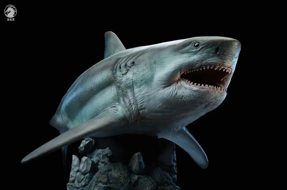 Megalodon Prime 1/35 – Edición Animal Art statue estatua realismo