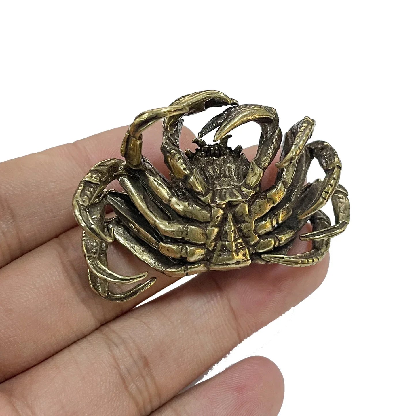 Cangrejo de latón – Una joya marina en miniatura | Animalium Laton Art