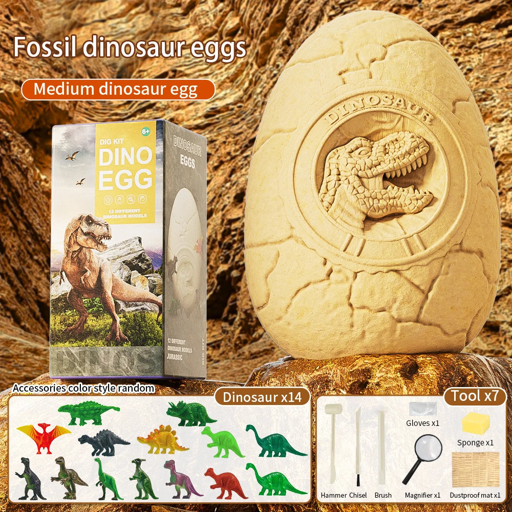 🦕 Kit Excavación Huevos de Dinosaurio para Niños – Colección Paleontología | Animalartbuy