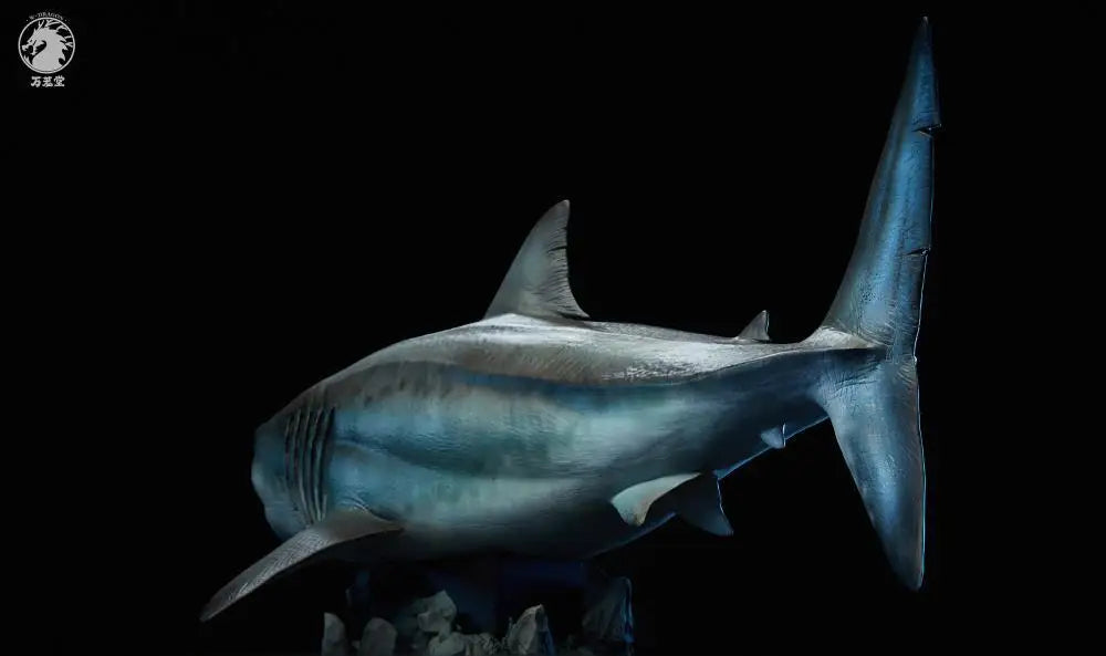 Megalodon Prime 1/35 – Edición Animal Art statue
