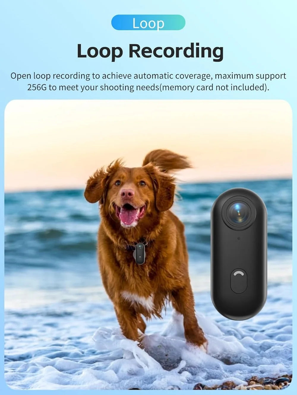 PetView 4K™ | By AnimalArtBuy