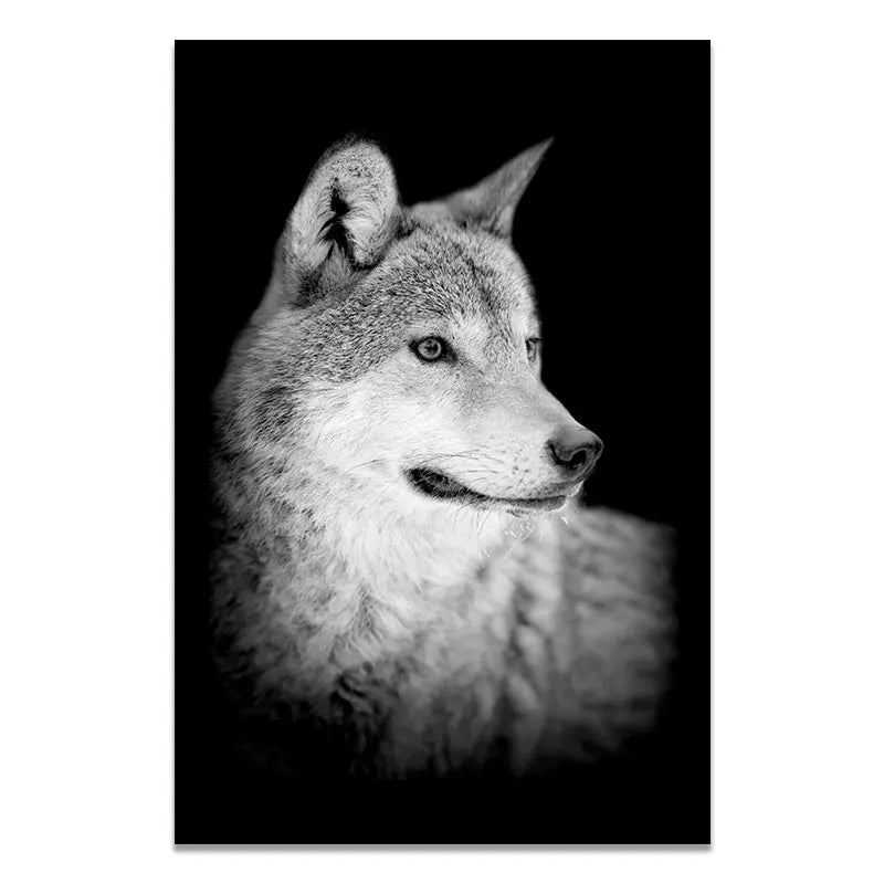 Sombras Salvajes – Colección en Blanco & Negro By Animal Art