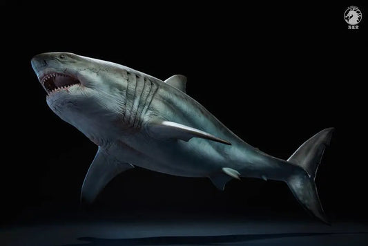 Megalodon Prime 1/35 – Edición Animal Art statue