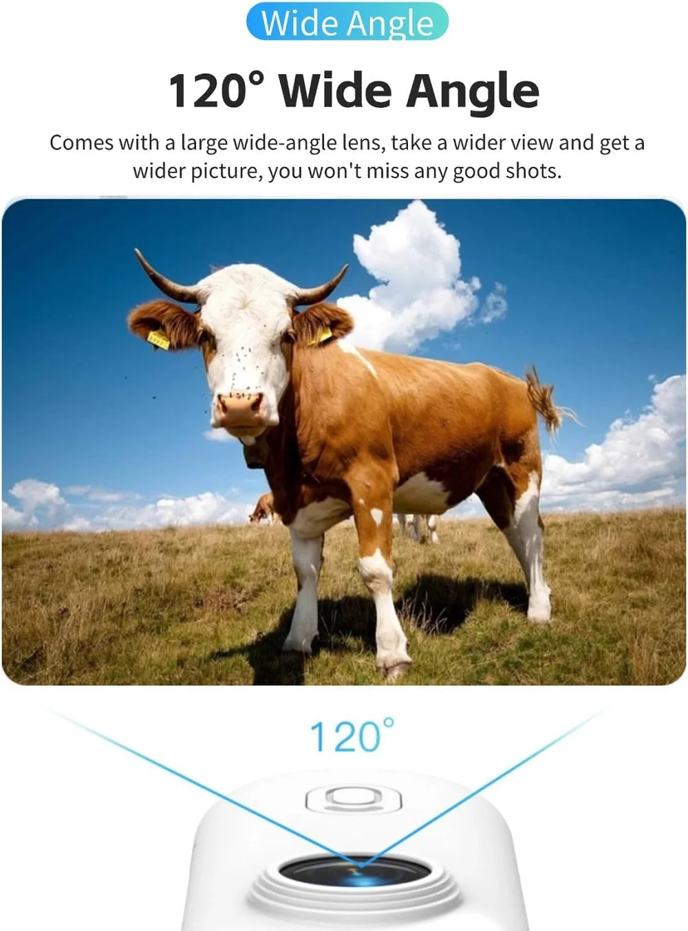 PetView 4K™ | By AnimalArtBuy