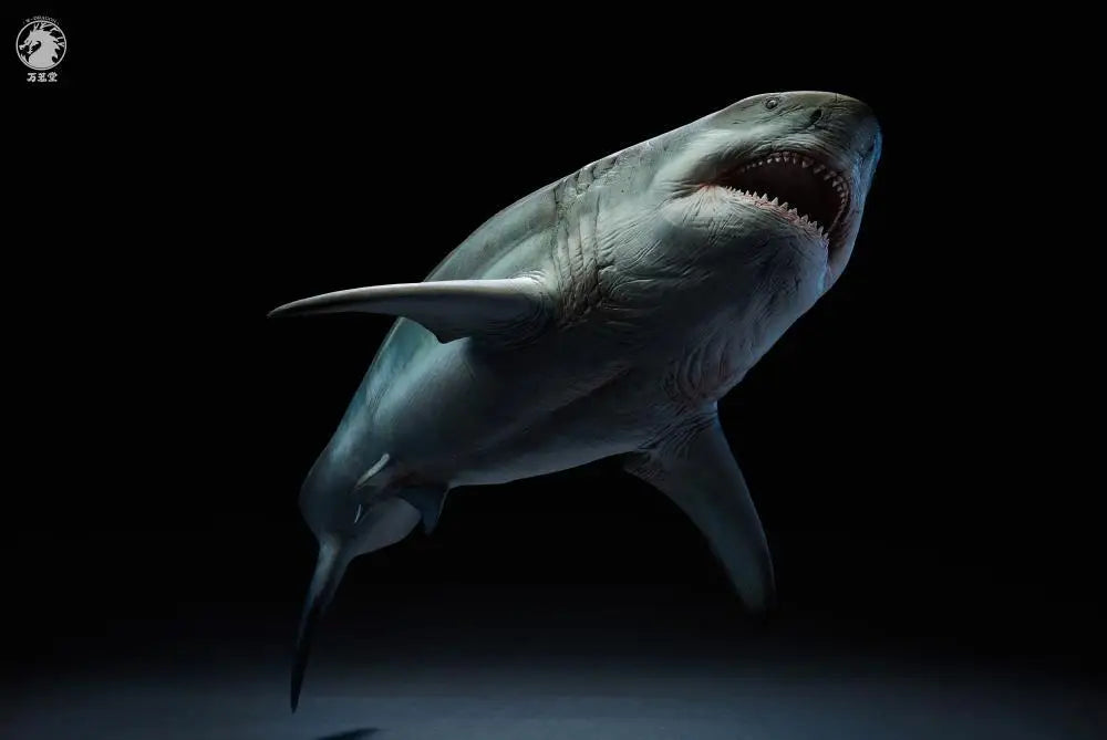 megalodon prime edición animal art estatua