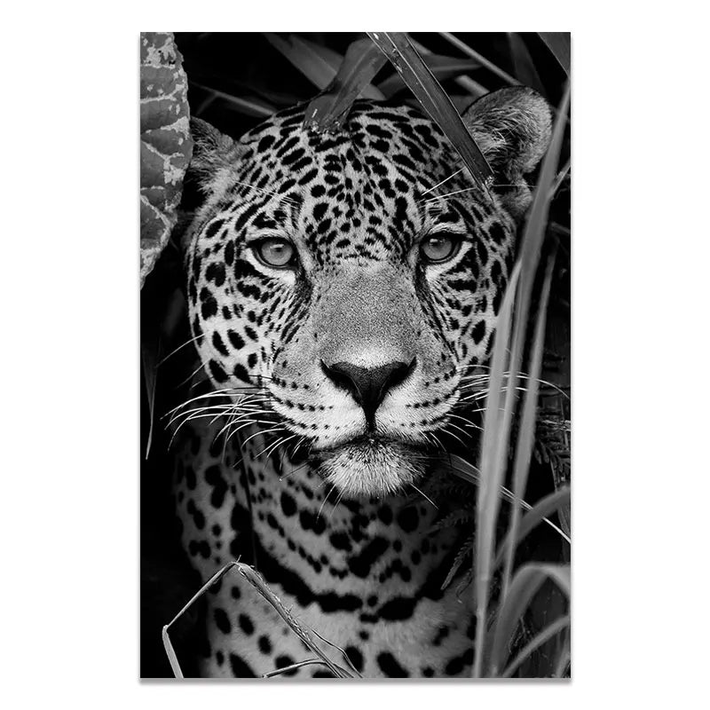 sombras salvajes by animal art blanco y negro jaguar