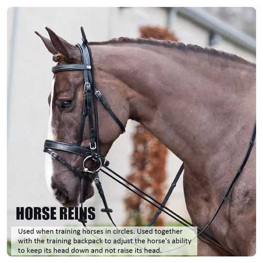 EquiControl – Correa de Entrenamiento Ajustable para Caballo Animal Art