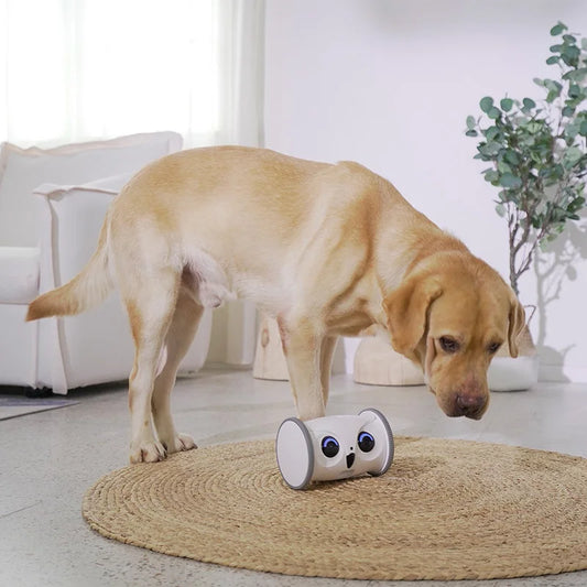 OwlPet Vision – Robot Inteligente Interactivo con Cámara HD para Mascotas | TechPets by AnimalArtBuy