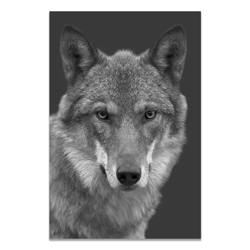 Sombras Salvajes – Colección en Blanco & Negro By Animal Art