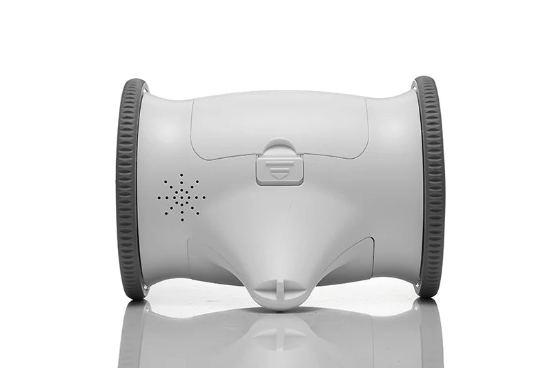 OwlPet Vision™ | By AnimalArtBuy