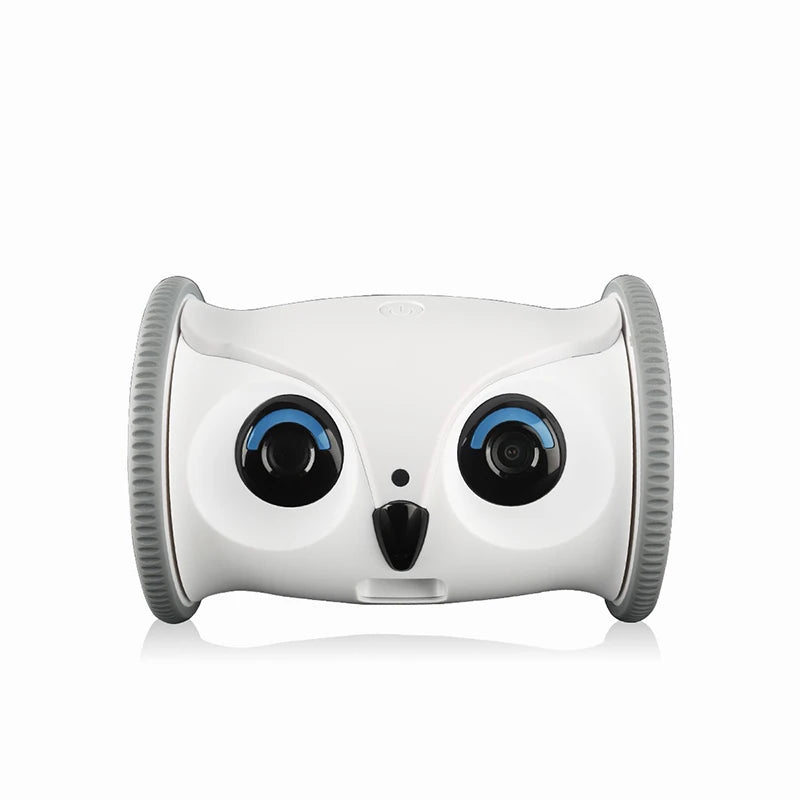 OwlPet Vision™ | By AnimalArtBuy