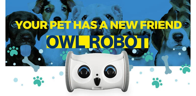 OwlPet Vision™ | By AnimalArtBuy