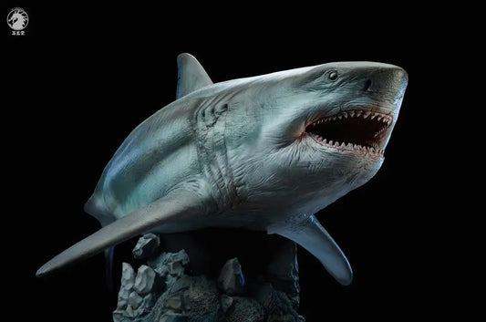 Megalodon Prime 1/35 – Edición Animal Art statue estatua realismo