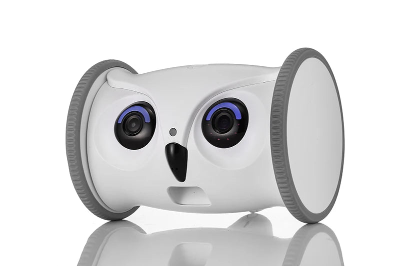 OwlPet Vision™ | By AnimalArtBuy