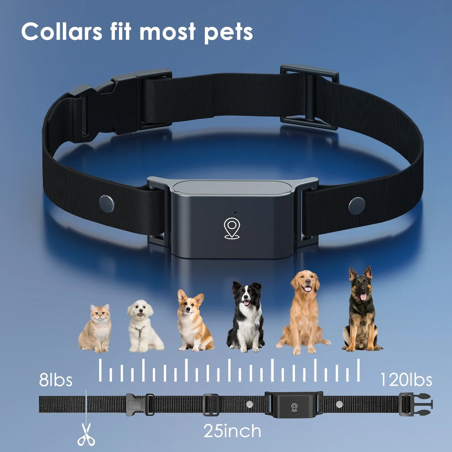Collar GPS Inteligente 4G para Mascotas | Localización en Tiempo Real y Diseño Premium