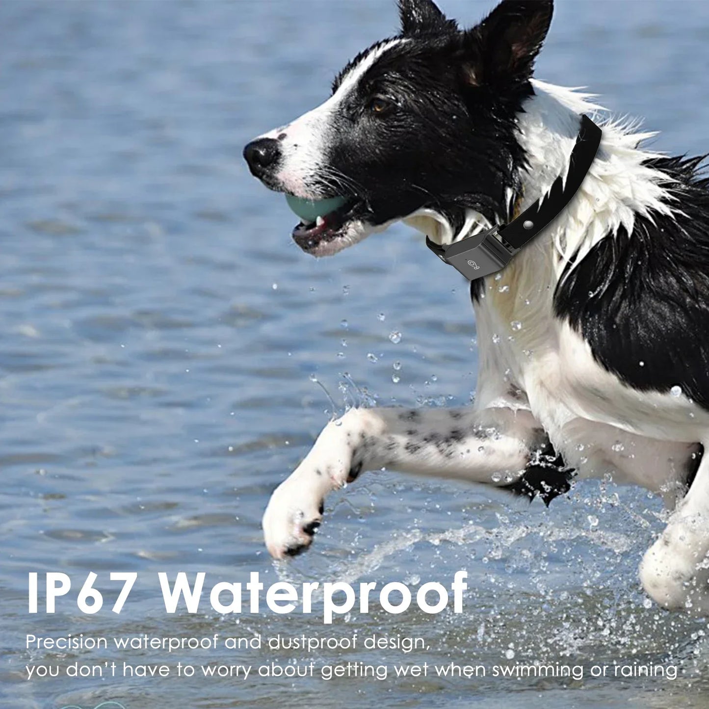 Collar GPS Inteligente 4G para Mascotas | Localización en Tiempo Real y Diseño Premium