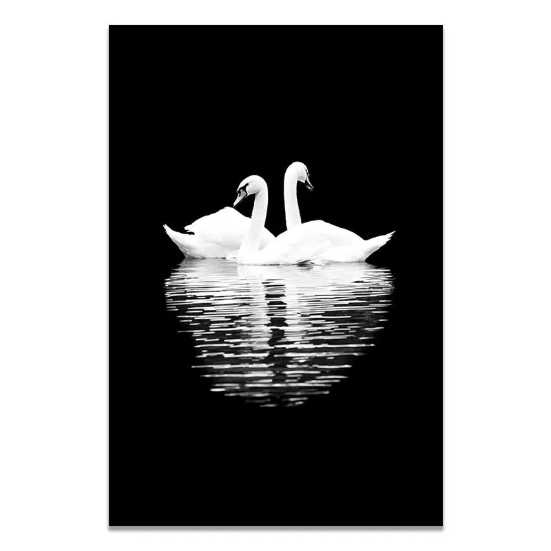 Sombras Salvajes – Colección en Blanco & Negro By Animal Art