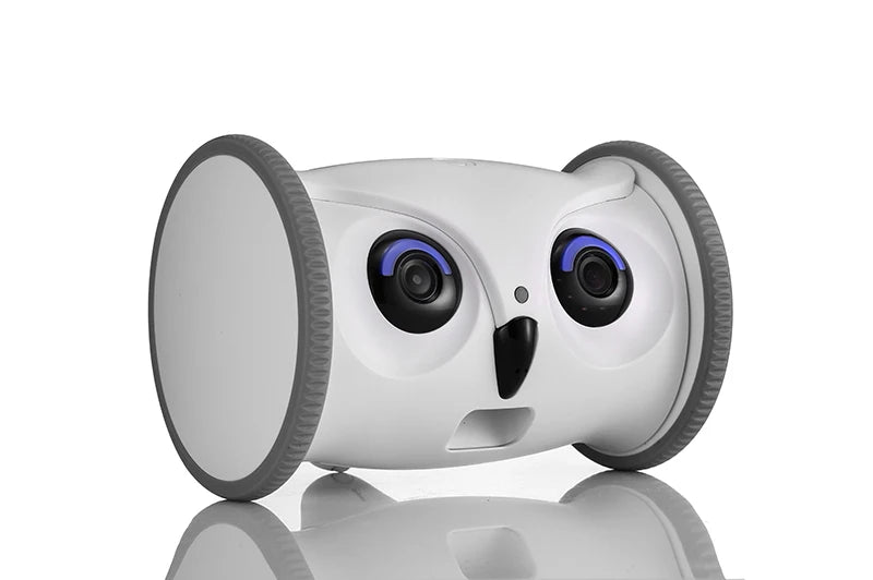 OwlPet Vision™ | By AnimalArtBuy