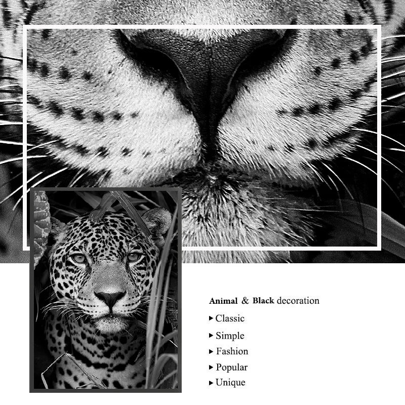 Sombras Salvajes – Colección en Blanco & Negro By Animal Art