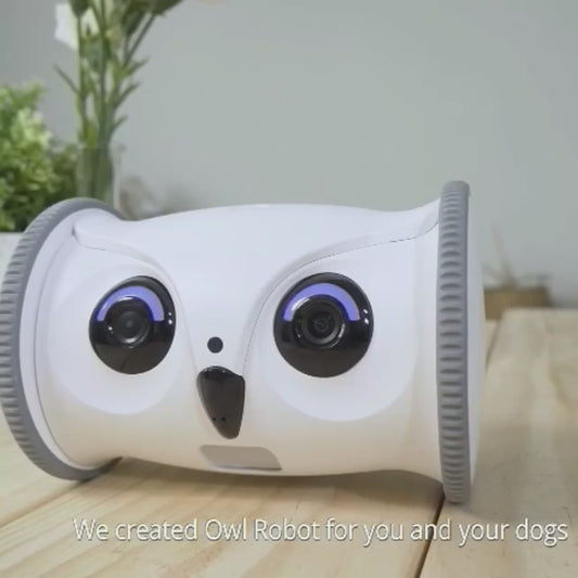 OwlPet Vision™ | By AnimalArtBuy
