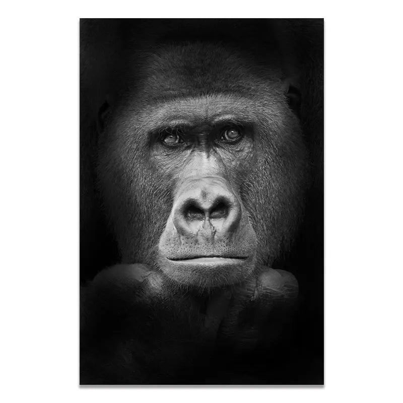 sombras salvajes by animal art blanco y negro gorila monkey