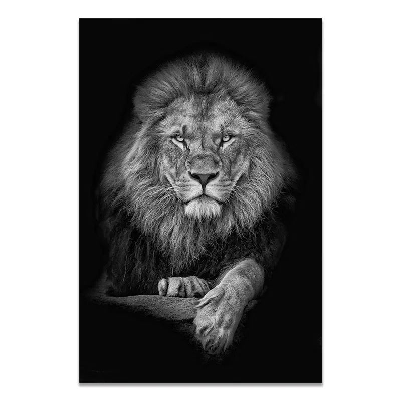 sombras salvajes by animal art blanco y negro león lion